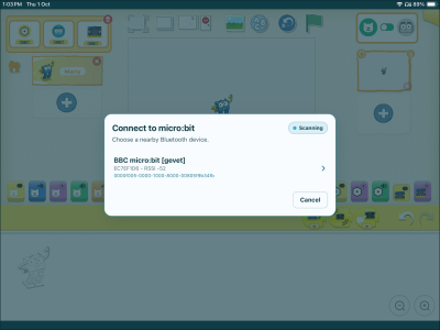 Bluetooth Tablet Connection